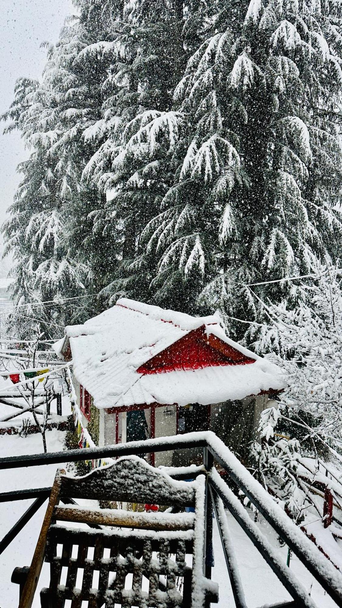 Red House Cafe And Inn Manali  Bagian luar foto